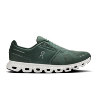 Olive | Evergreen